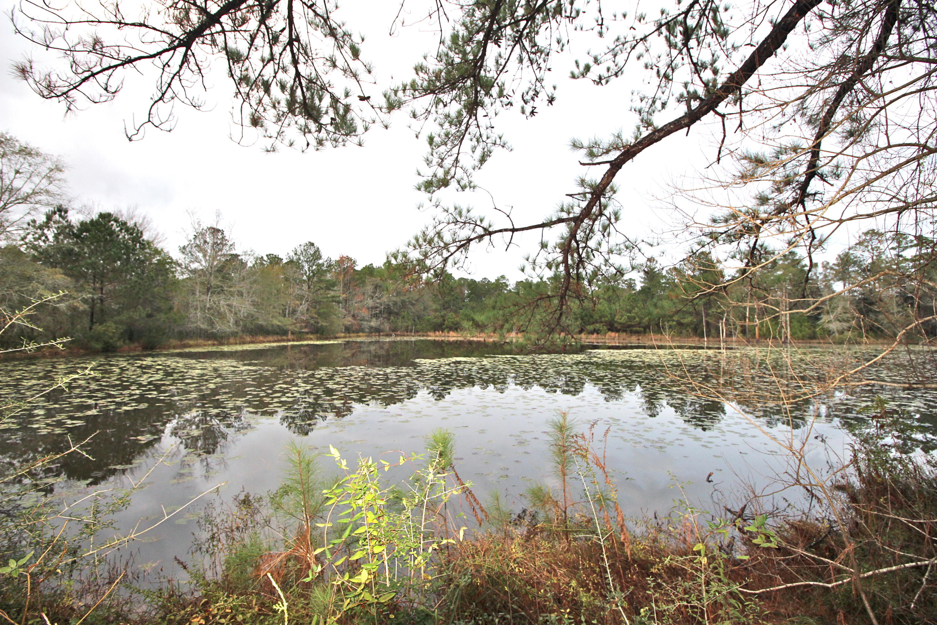 What everyone has been waiting on...rarely offered 18.4 acres in the coveted Eucheeanna Valley area, less than 5 minutes to town. This picturesque property comes complete with a 3.5 acre pond, electric & well plus pole barn. There's a lovely cleared hilltop that makes a perfect homesite - or bring your RV or manufactured home. Property is entirely fenced. Cash only please - no financing contingencies at seller's request.