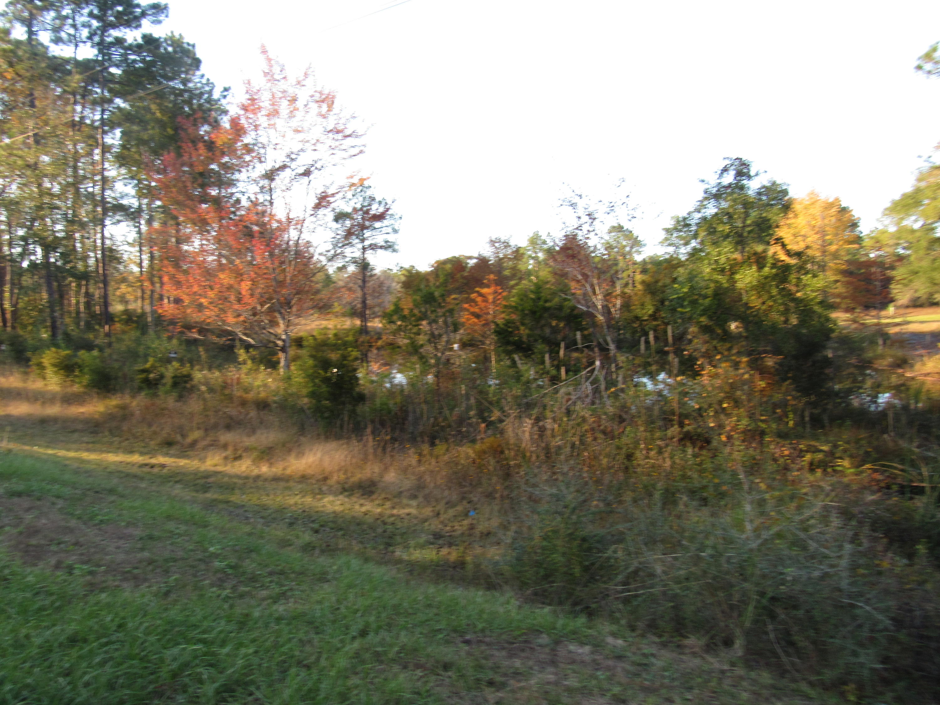 Metes and bounds - Farm