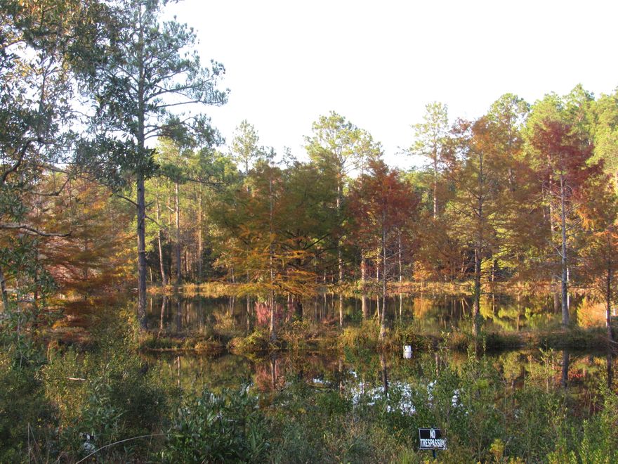 WOW! 38 Acres and 2 stocked ponds with bass and brim. Older home on property in need of repair. Some clearing to the front for perfect homesite has already been completed. Tyner creek flows thru this property.
