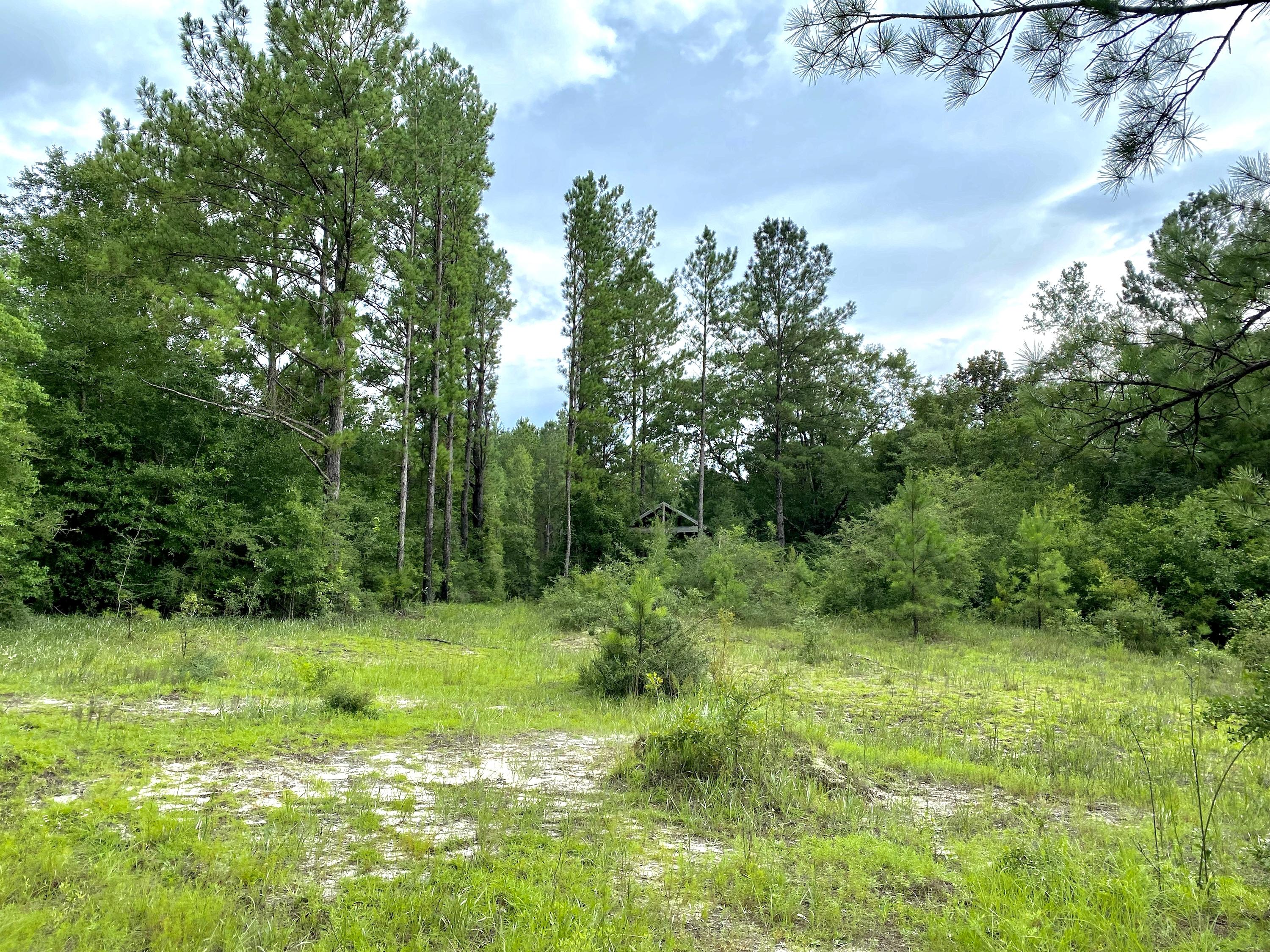 METES & BOUNDS - Land