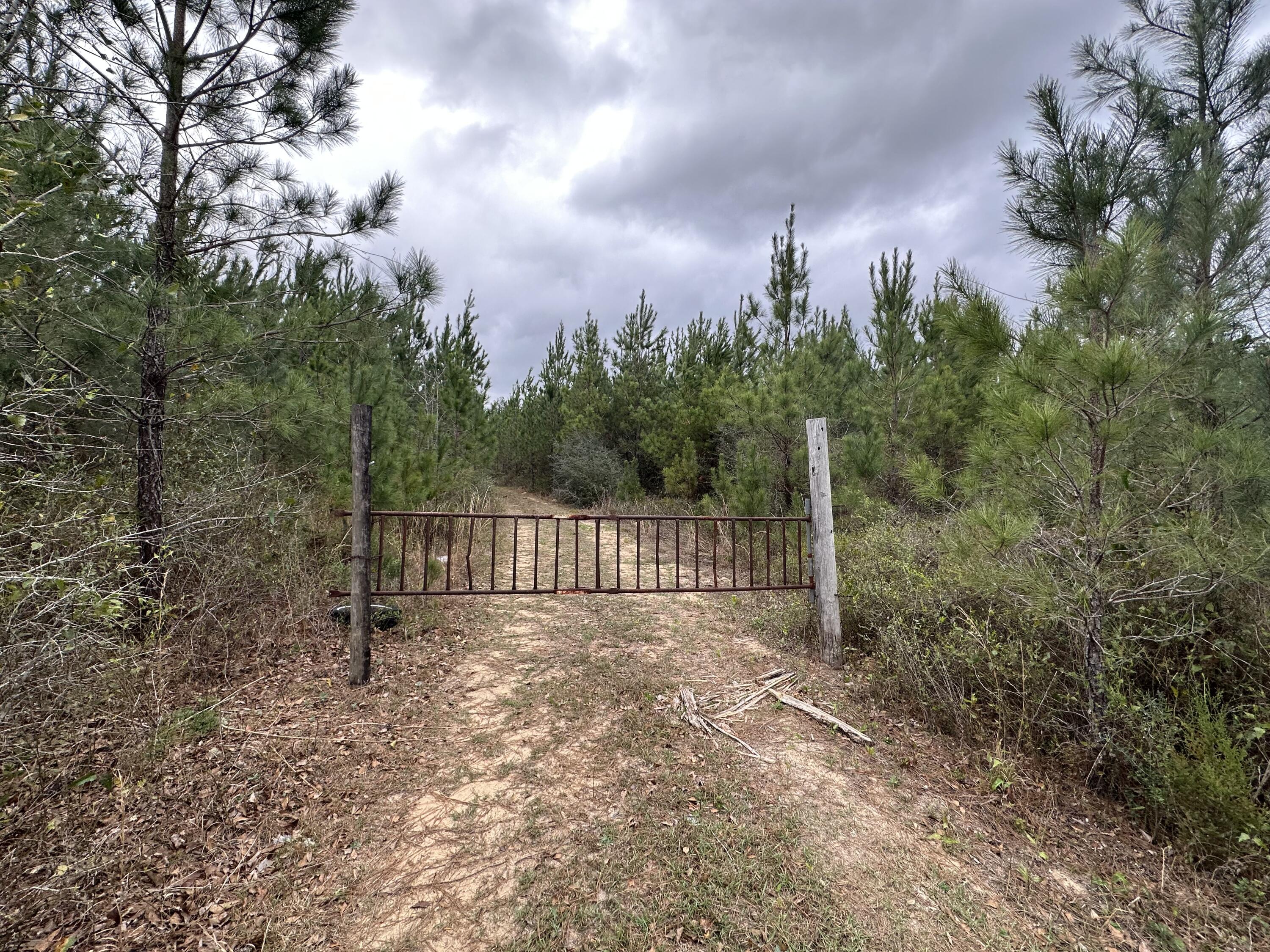 Dream Location for Country Living or Hunters Paradise either way you won't want to miss this opportunity! This Beautiful 23.45+/- Acres of prime land has so much to offer Newley paved rd and power available. Turkey season coming soon! Bring your build plans, hunting gear, Horses and ATVS LOCATION LOCATION!!!! This Property has Easy Access to Panama City Beaches I-10, Hwy 79, Hwy 81, and Hwy 90.