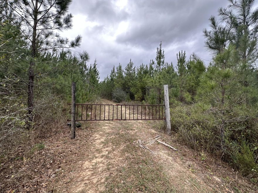 Dream Location for Country Living or Hunters Paradise either way you won't want to miss this opportunity! This Beautiful 23.45+/- Acres of prime land has so much to offer Newley paved rd and power available. Turkey season coming soon! Bring your build plans, hunting gear, Horses and ATVS LOCATION LOCATION!!!! This Property has Easy Access to Panama City Beaches I-10, Hwy 79, Hwy 81, and Hwy 90.