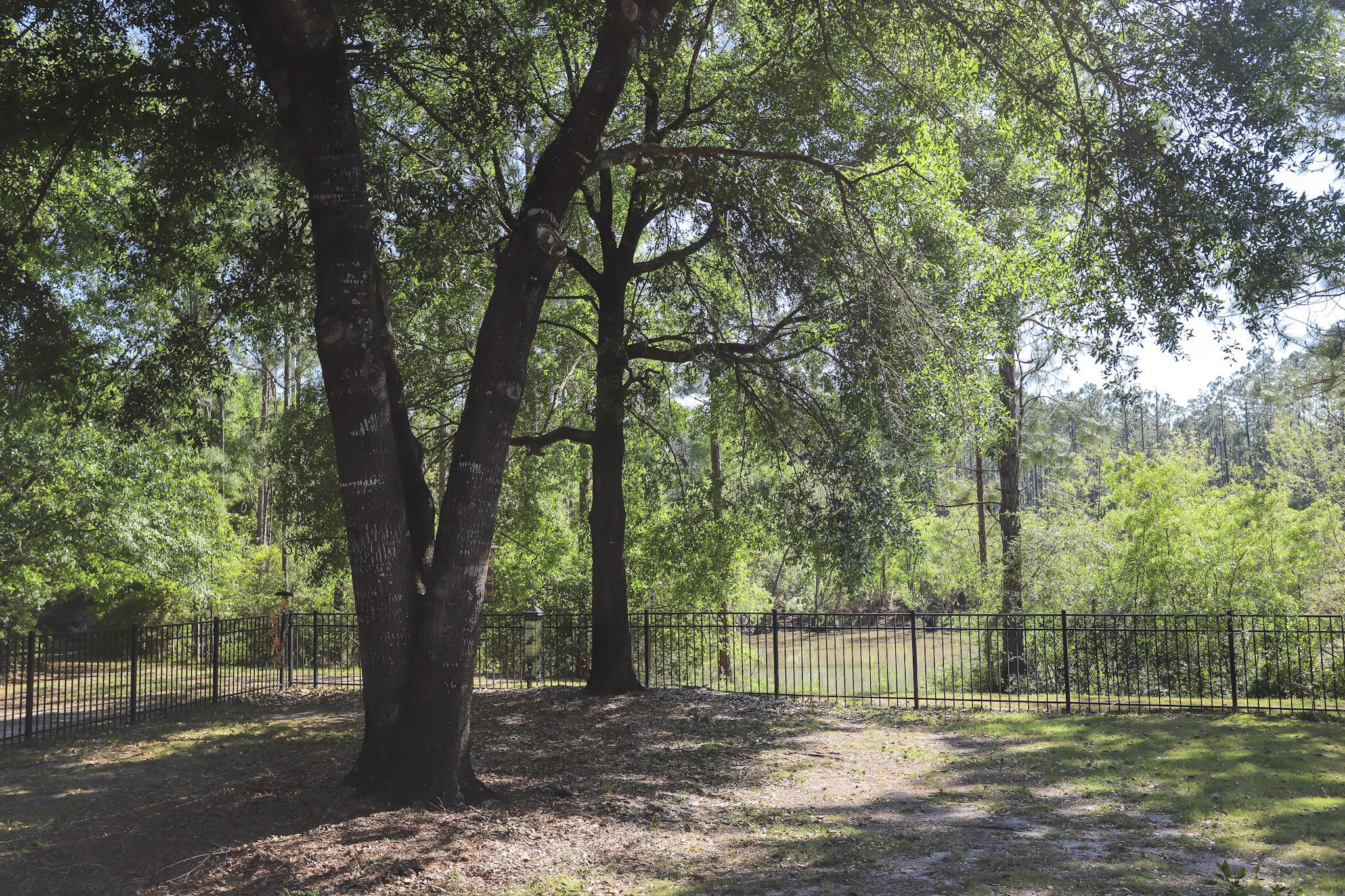 WINDSWEPT ESTATES - Residential