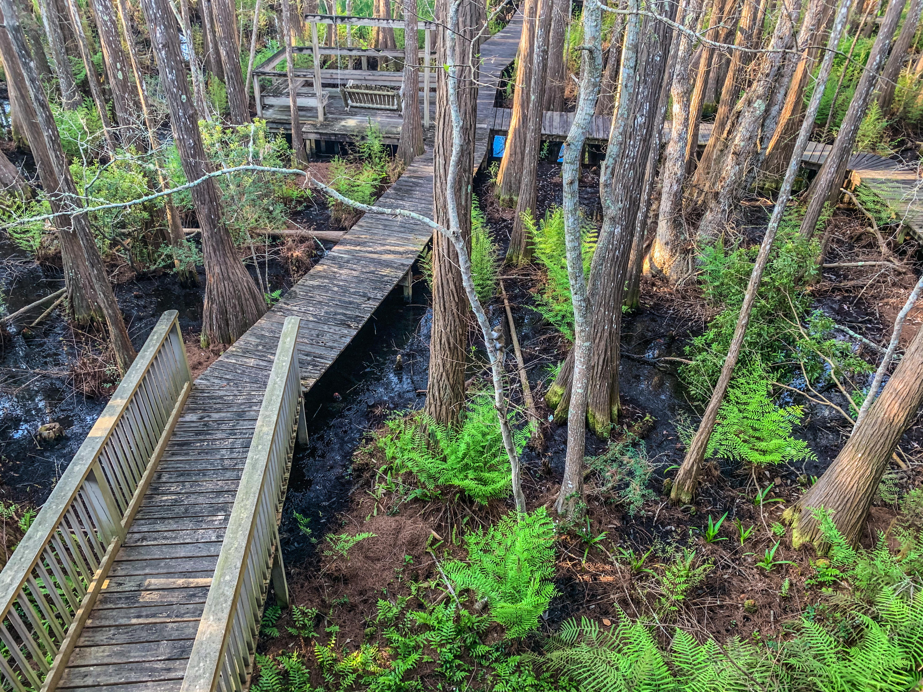 CASSINE GARDENS T/H PH 4 - Residential