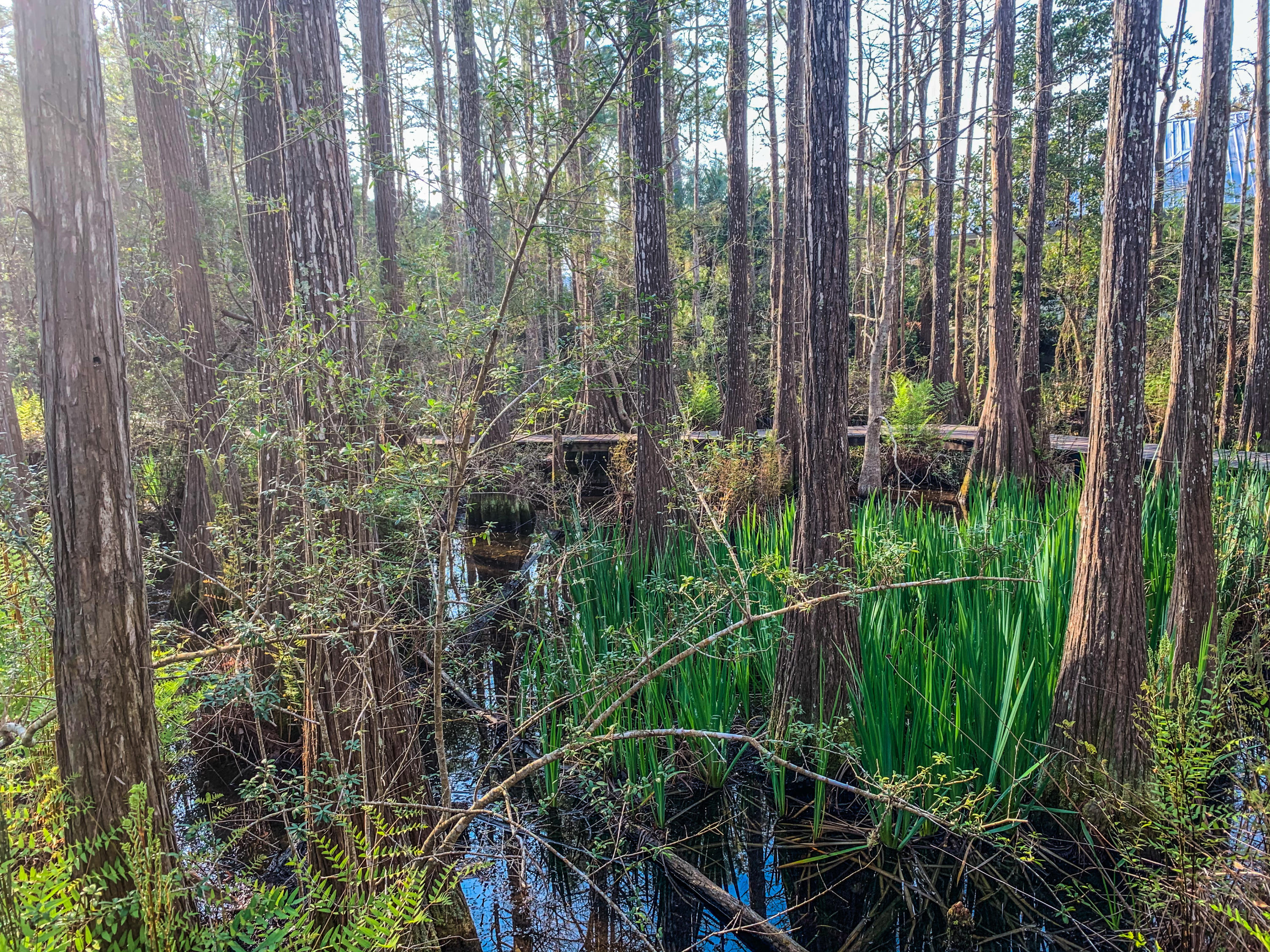 CASSINE GARDENS T/H PH 4 - Residential