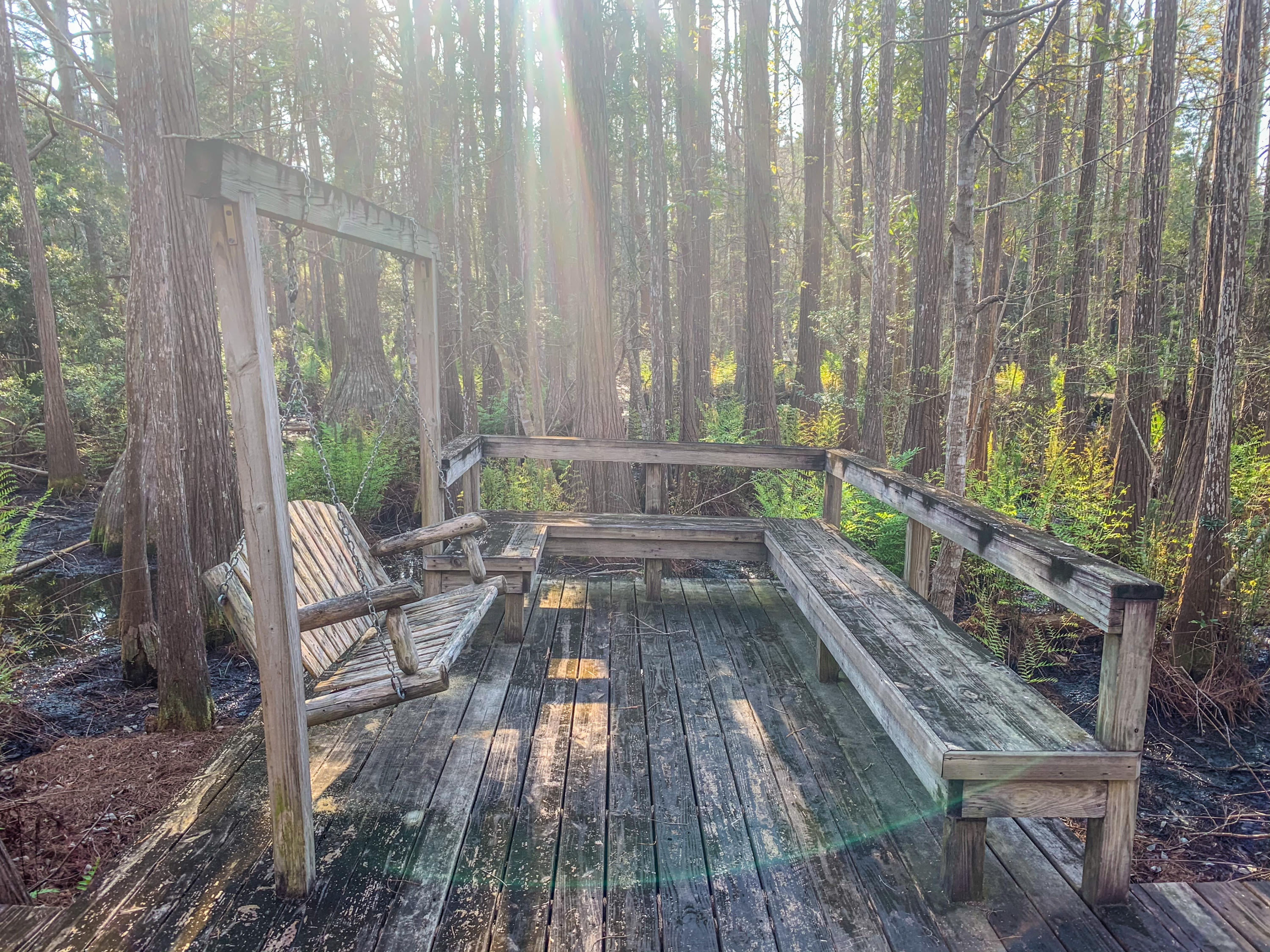 CASSINE GARDENS T/H PH 4 - Residential