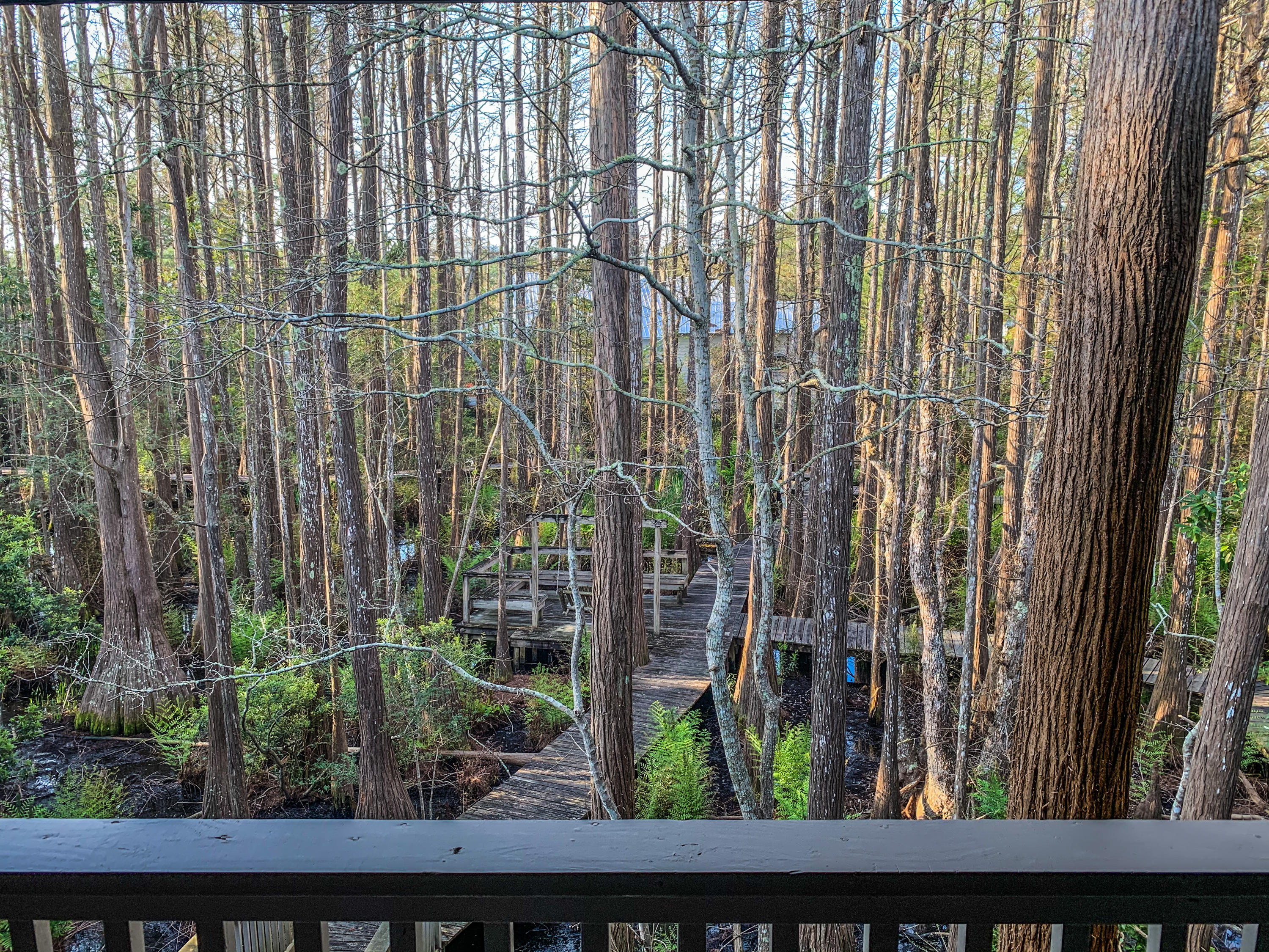 CASSINE GARDENS T/H PH 4 - Residential