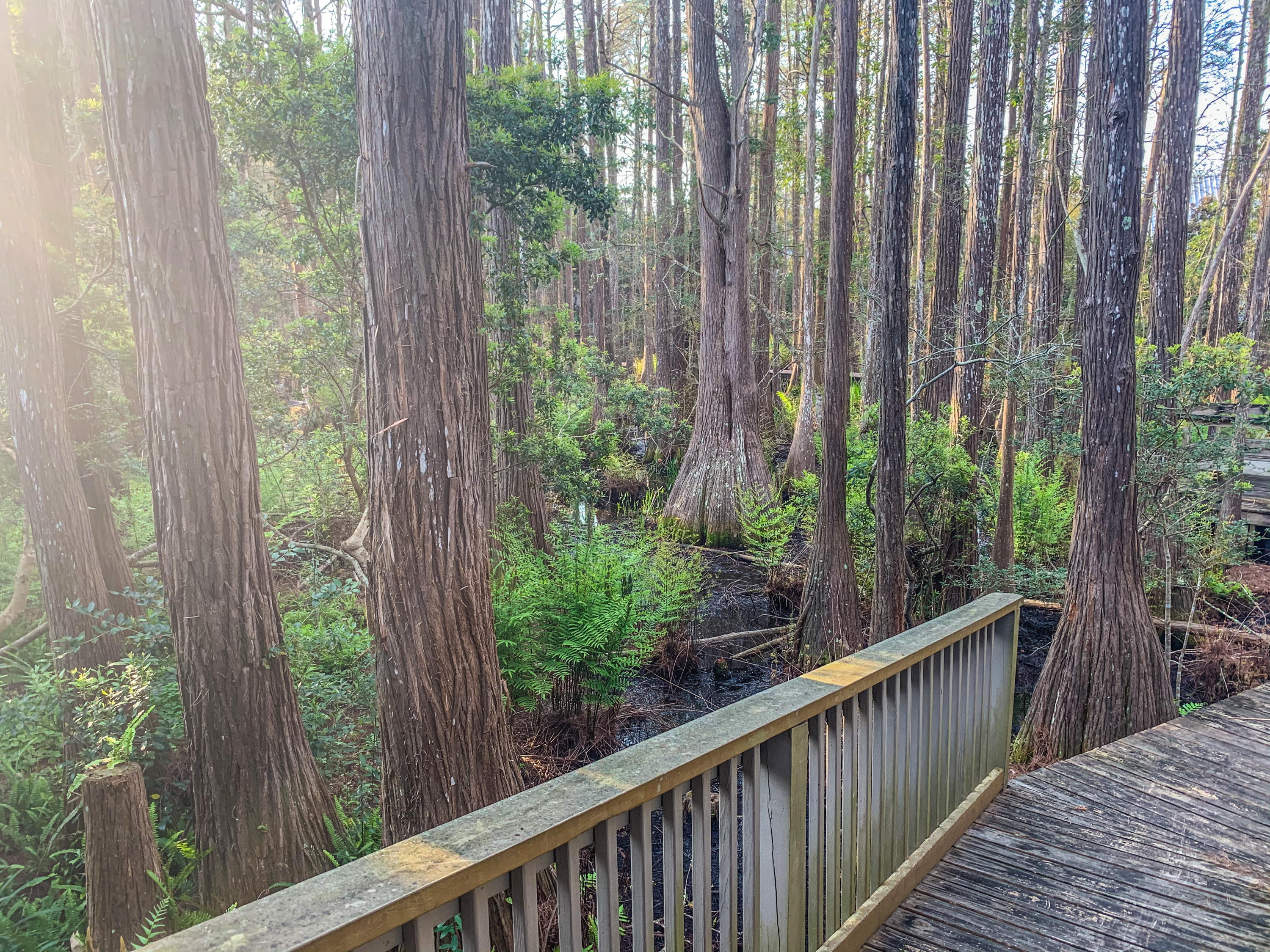 CASSINE GARDENS T/H PH 4 - Residential