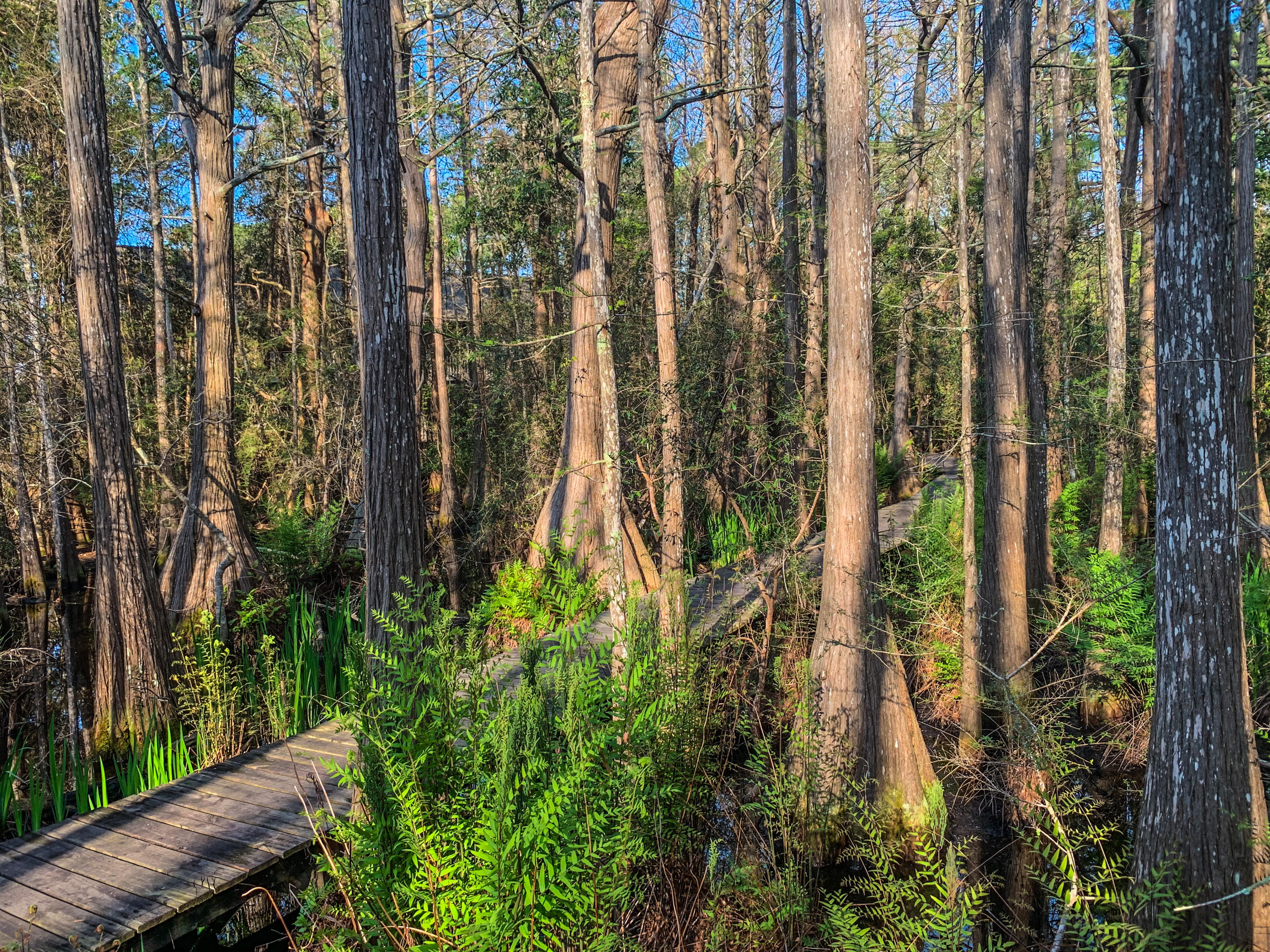 CASSINE GARDENS T/H PH 4 - Residential