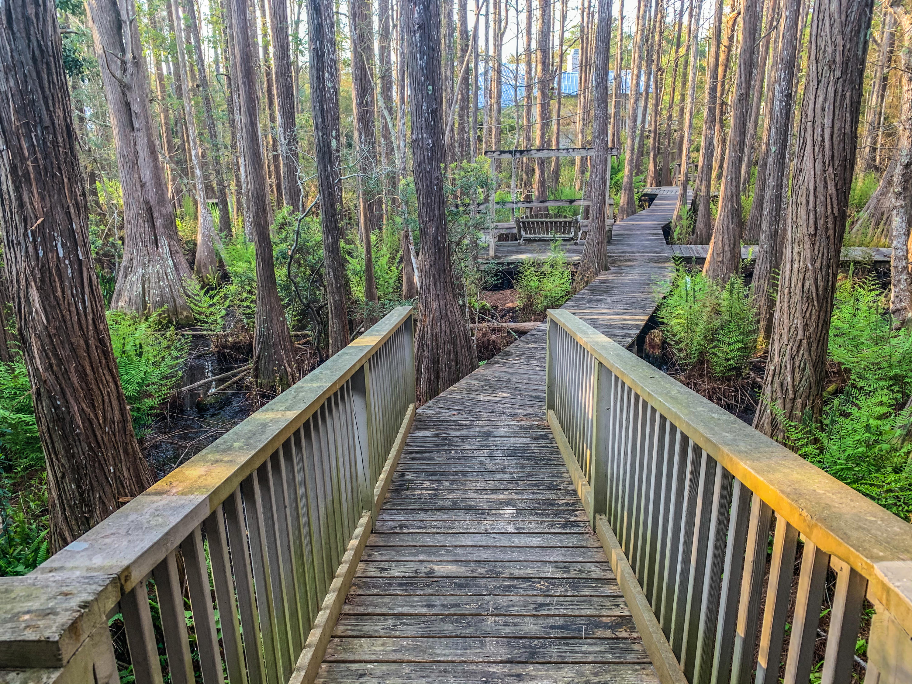 CASSINE GARDENS T/H PH 4 - Residential