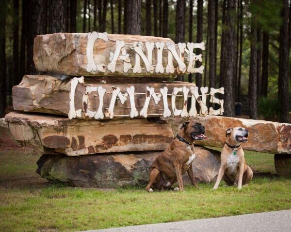 Hammock Bay - Firefly - Residential