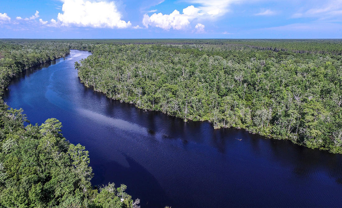 Black Creek Lodge - Residential