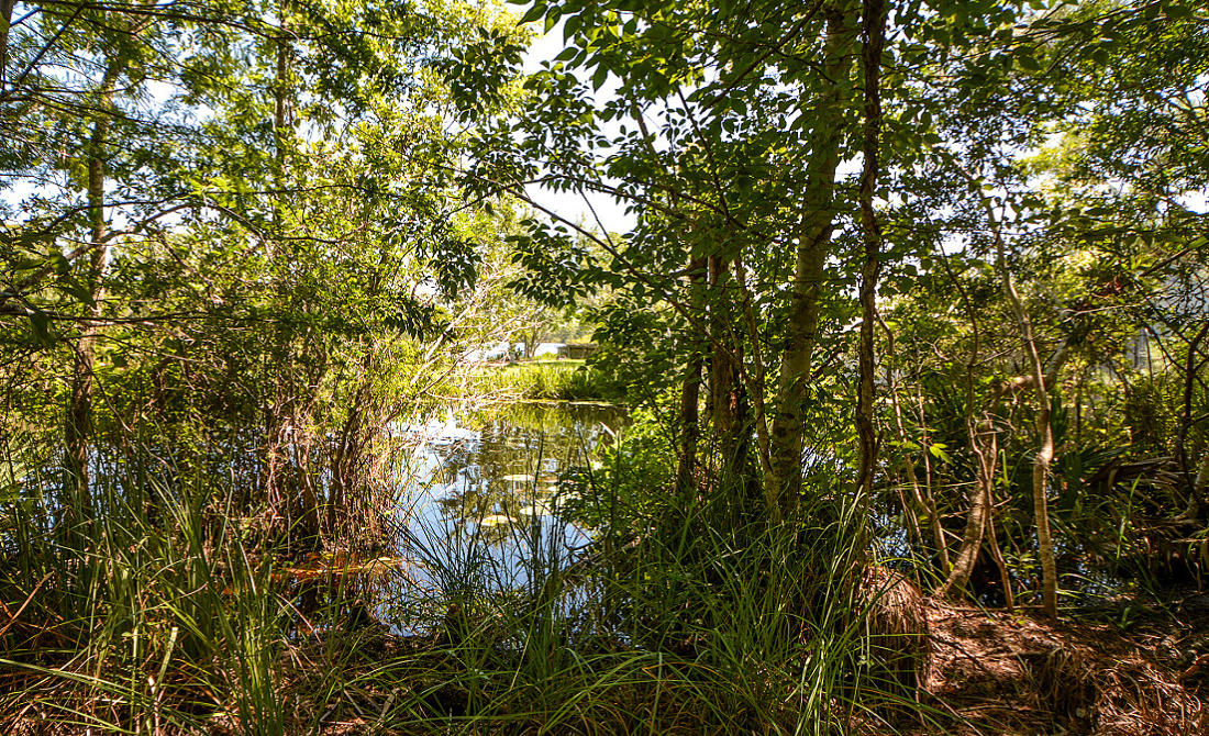Black Creek Lodge - Residential