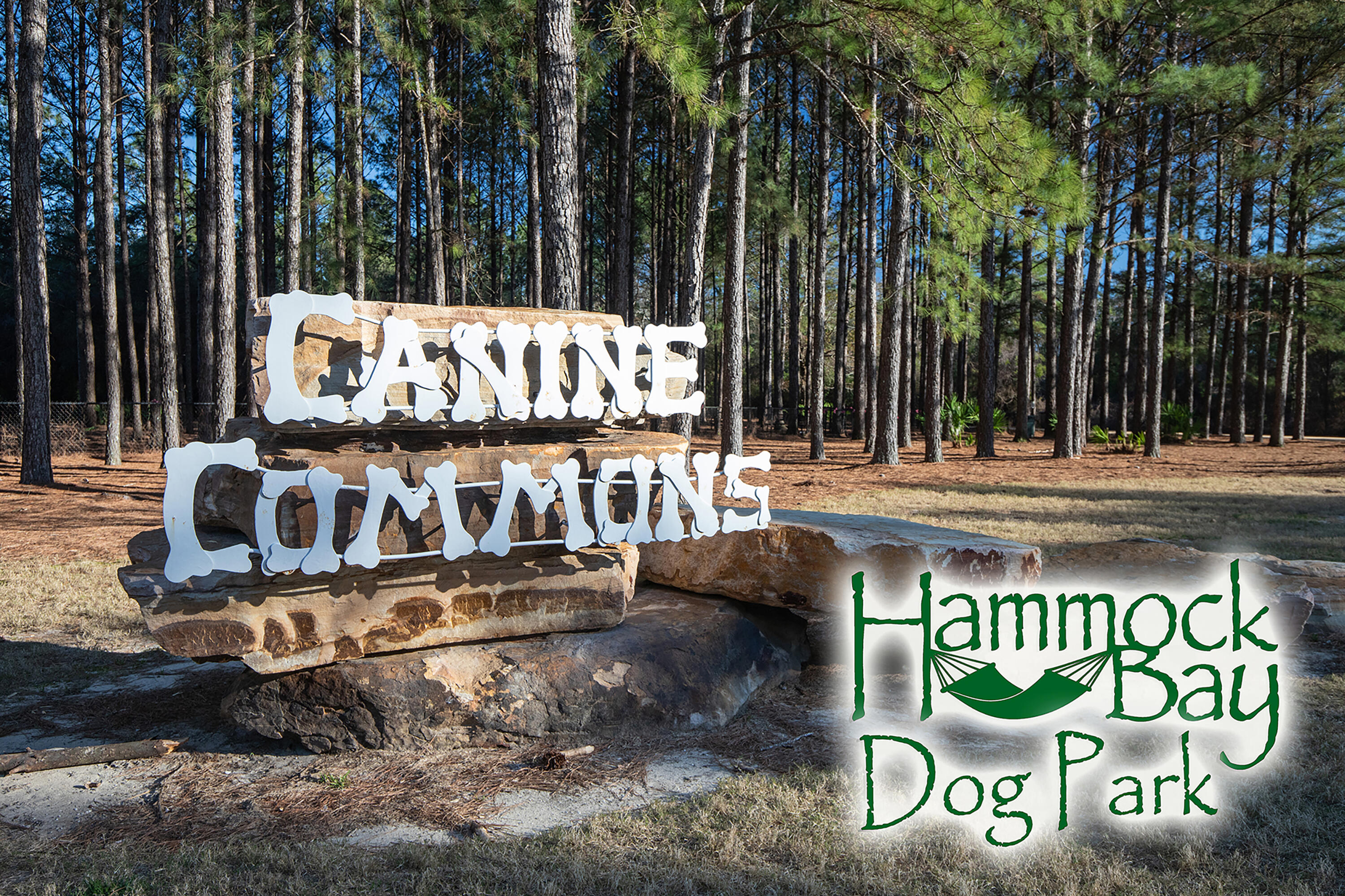 HAMMOCK BAY - BIRD SONG - Residential