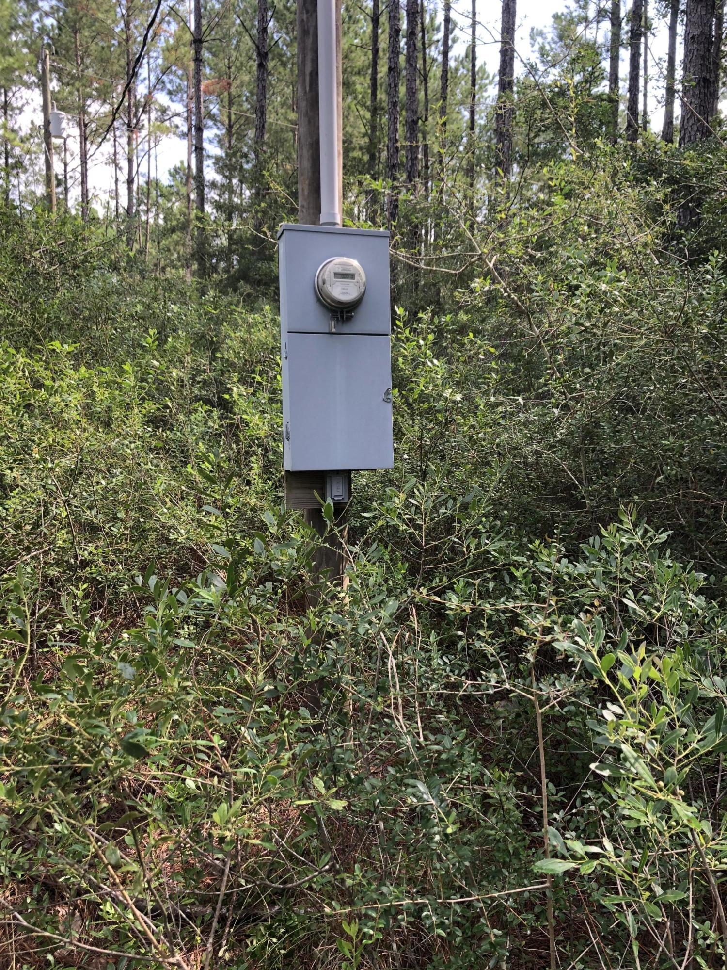 WALTON PLANTATION - Land