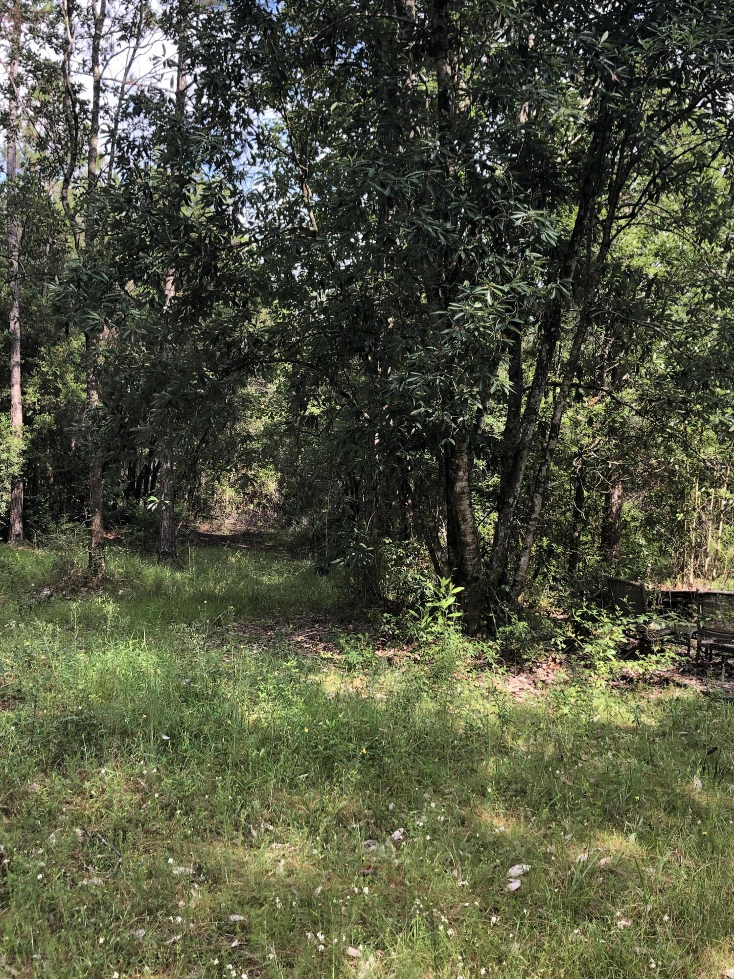 WALTON PLANTATION - Land