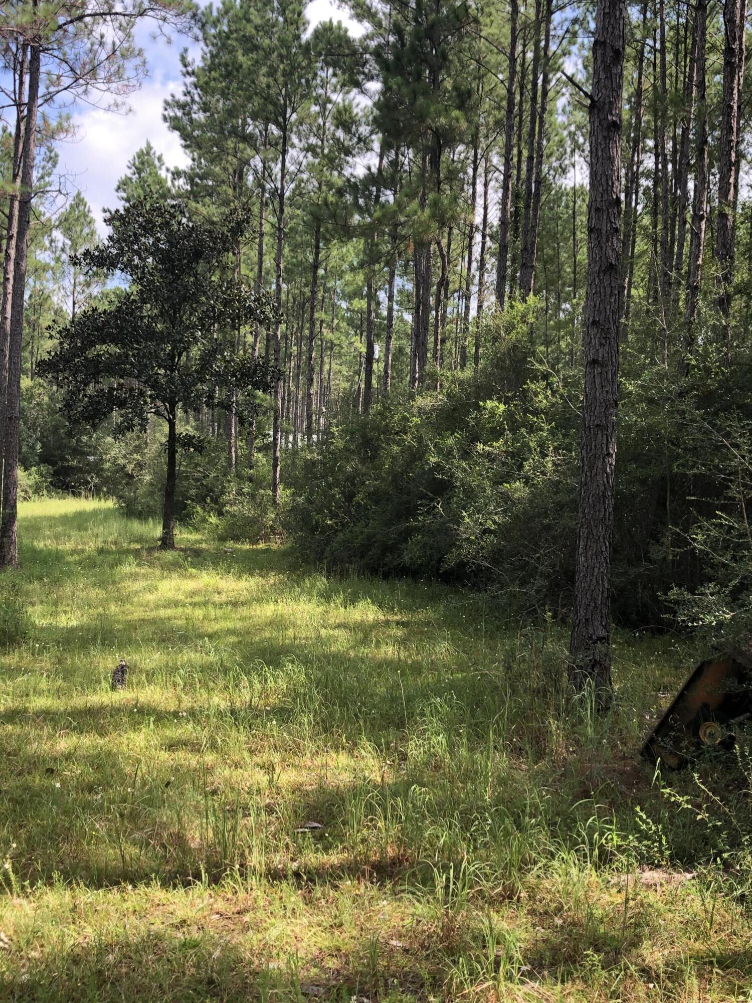 WALTON PLANTATION - Land