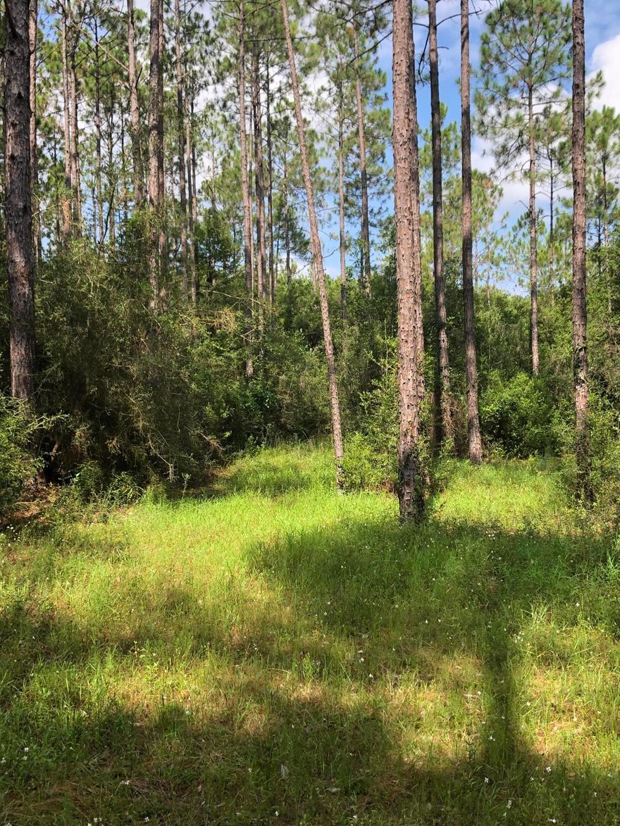 Great opportunity to own property for privacy and recreation near the beach. Call for more details.