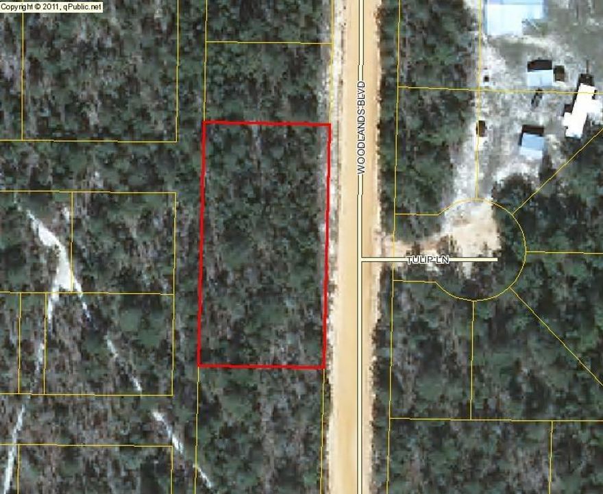REDUCED --3 beautiful wooded lots with Owner Financing. Mossy Head city water available.Great location to build or park a mobile home. Call today for terms...