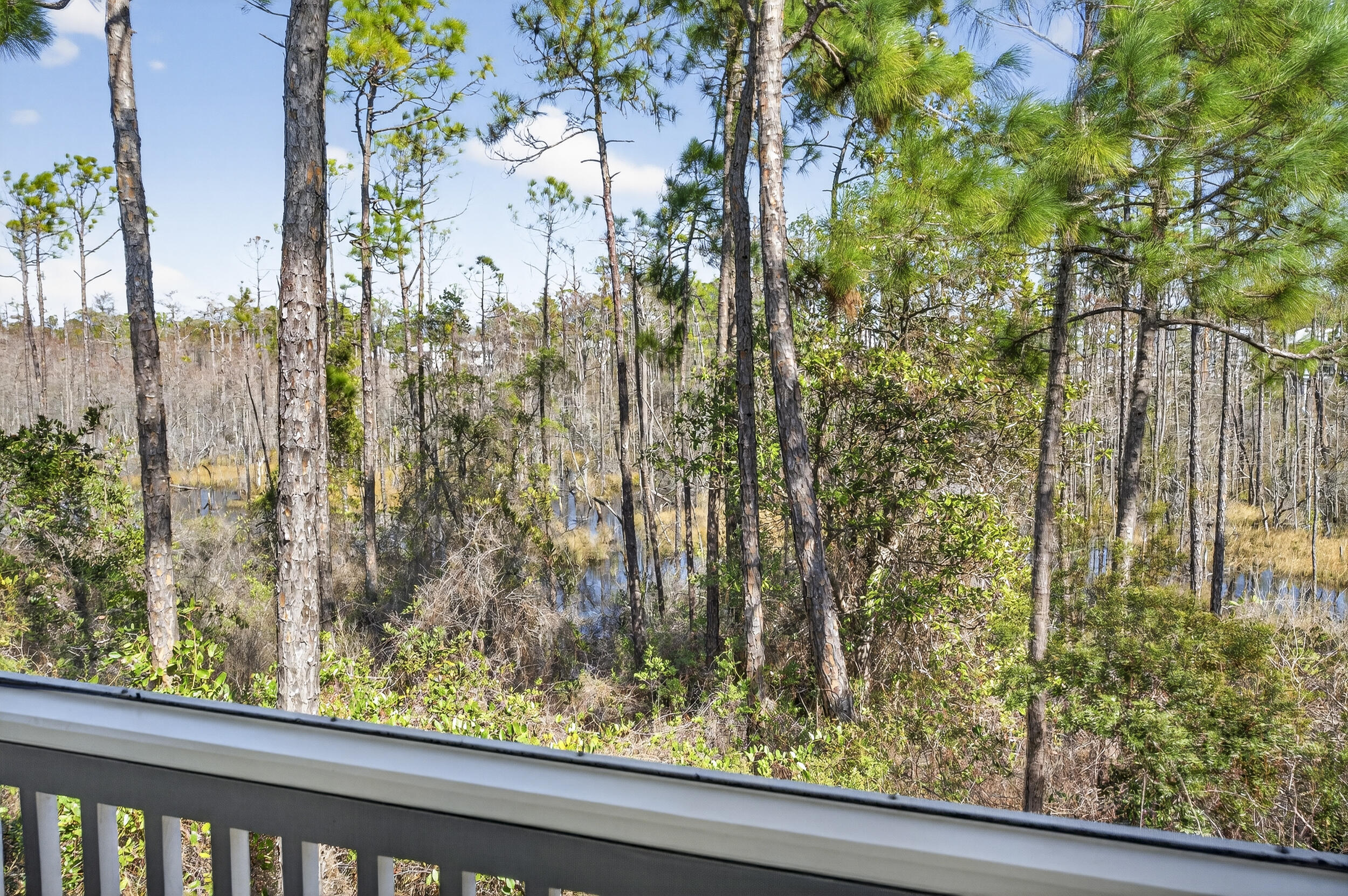 Naturewalk at Seagrove - Residential