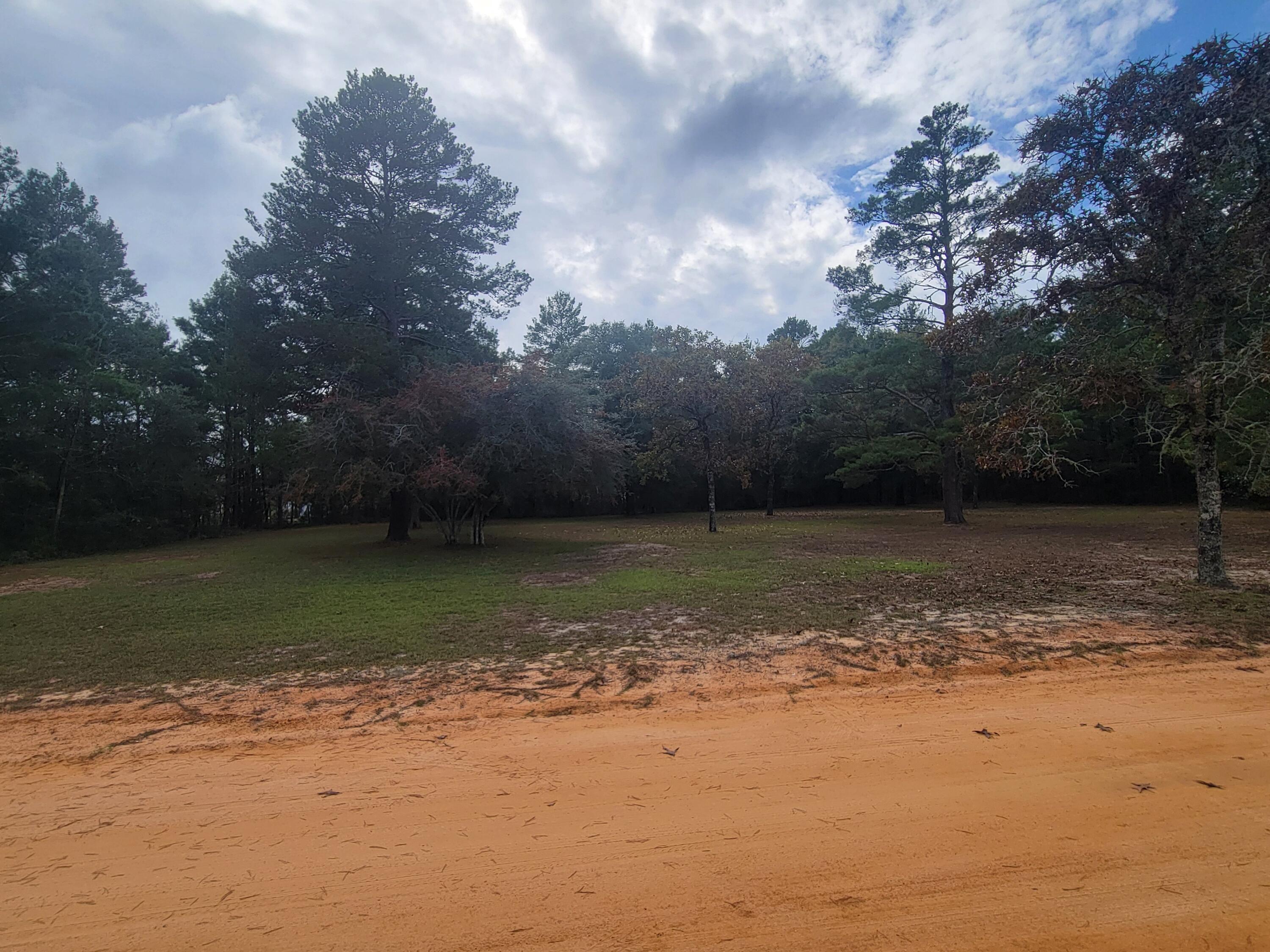 2 beautiful lots already cleared.  You will need a well and septic and power pole.  Manufactured homes allowed.  Others lots available in the same area. (these lots are across from  114 West May Lilly - MLS #962917) More lots on MLS #963023 and MLS #963088 and MLS # 963089 for sale.