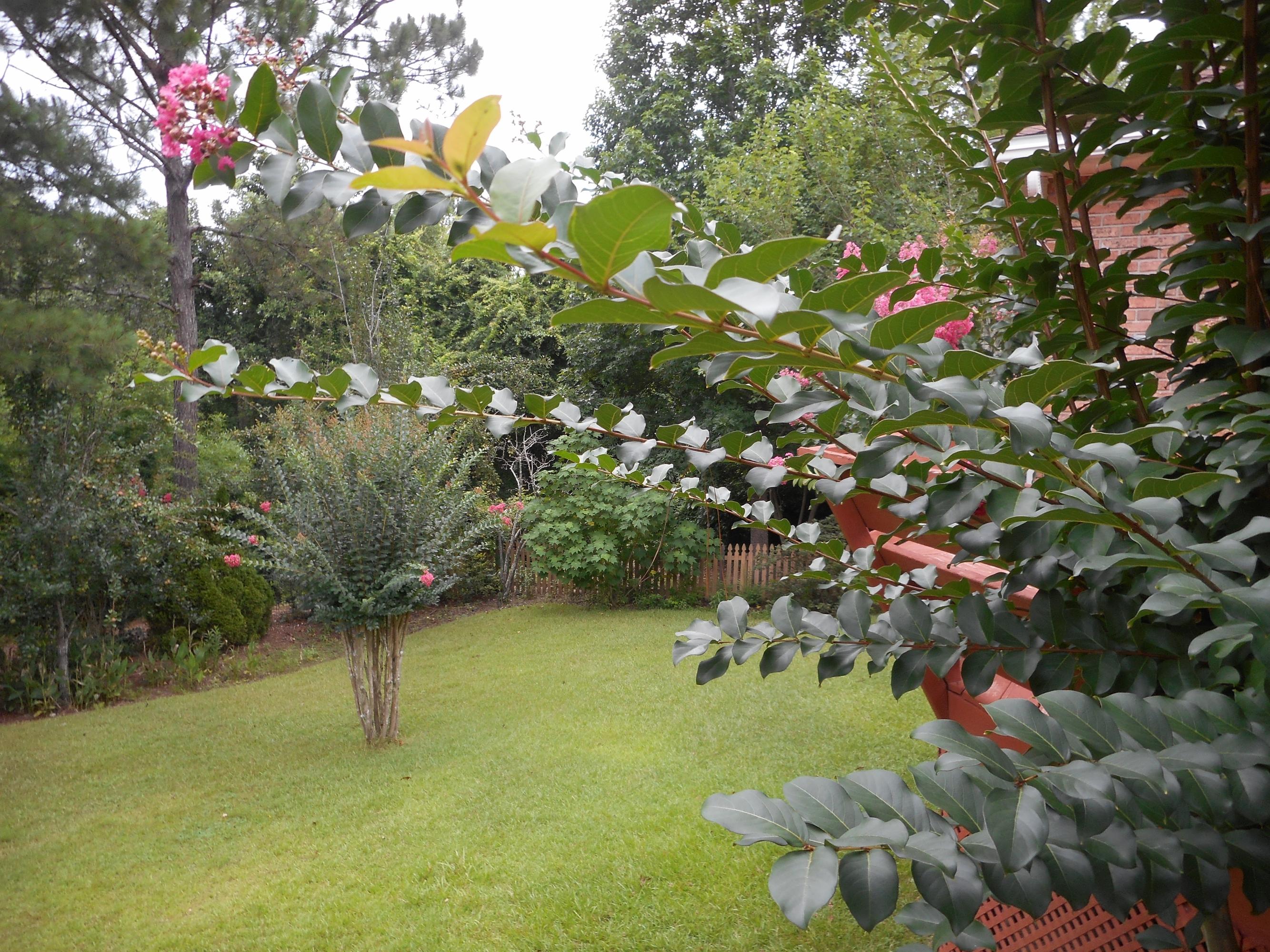 PAGE PLACE 3 PH 1 - Residential