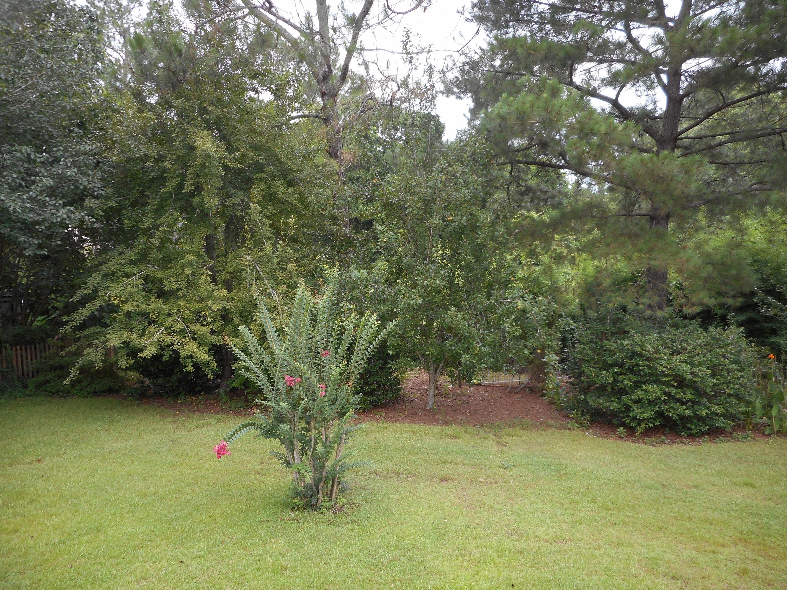 PAGE PLACE 3 PH 1 - Residential