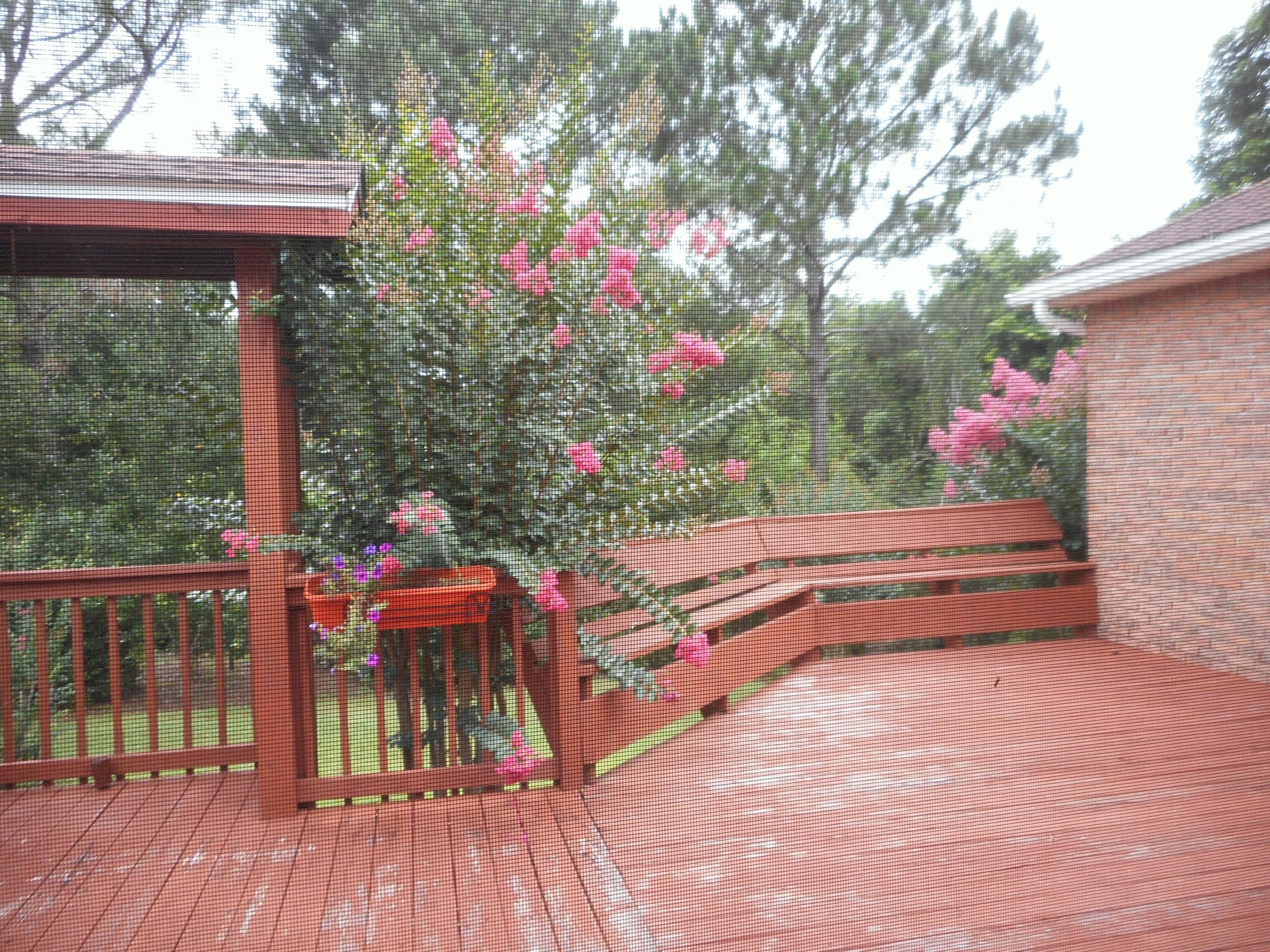 PAGE PLACE 3 PH 1 - Residential