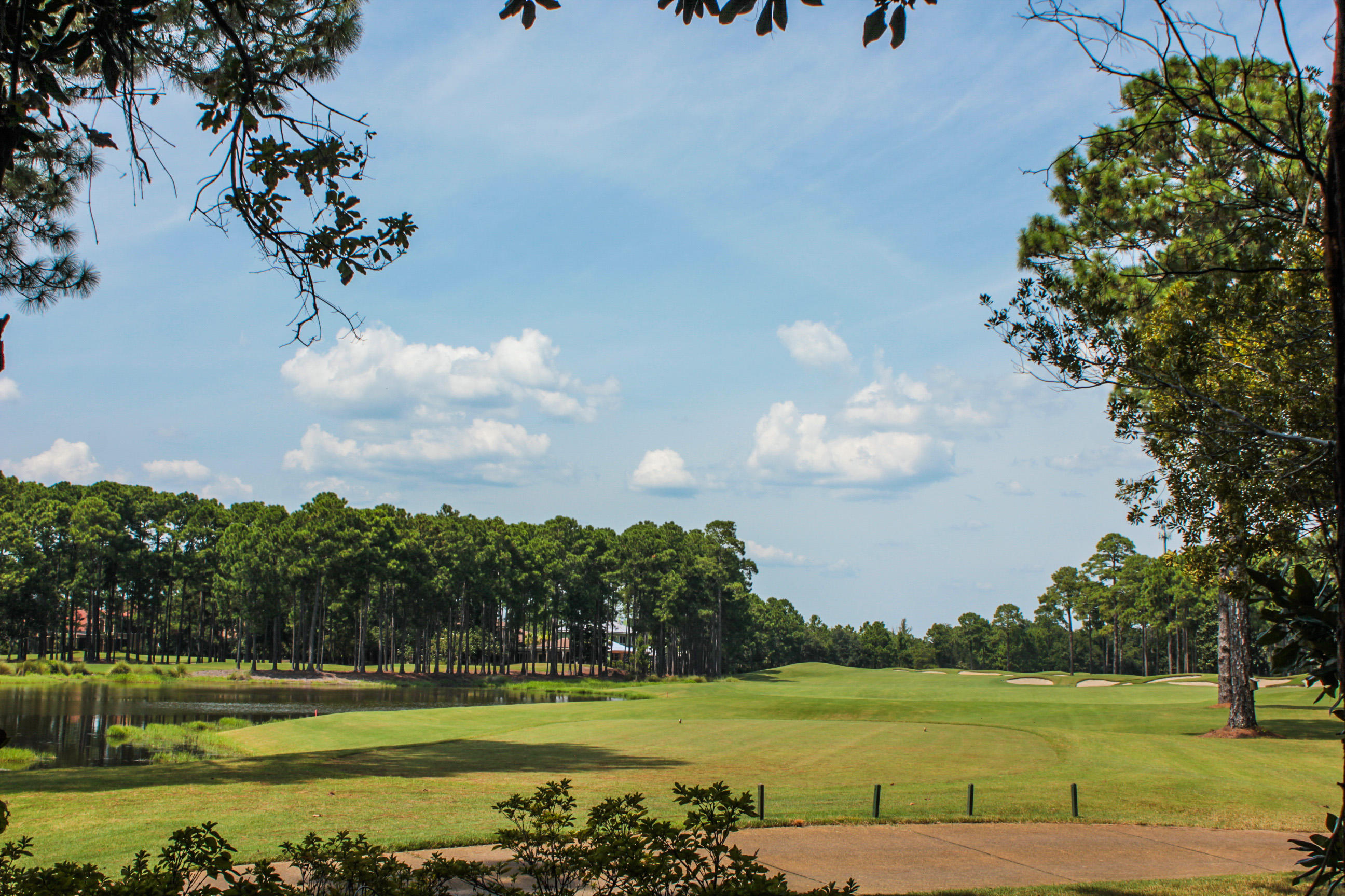 VINEYARD AT RAVEN OAKS - Residential