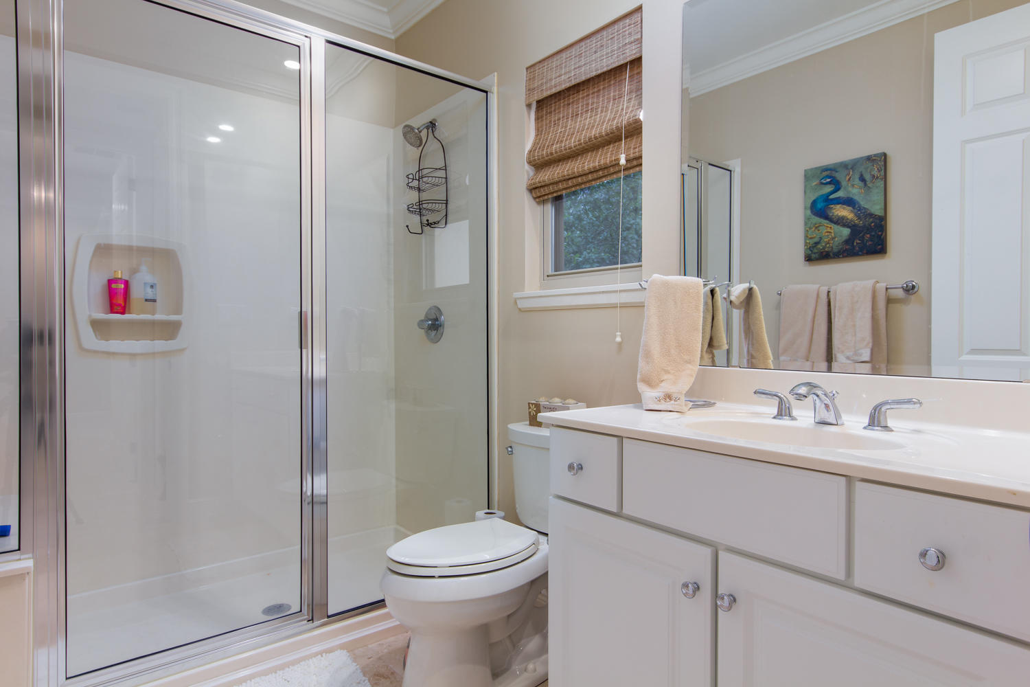 VINEYARD AT RAVEN OAKS - Residential