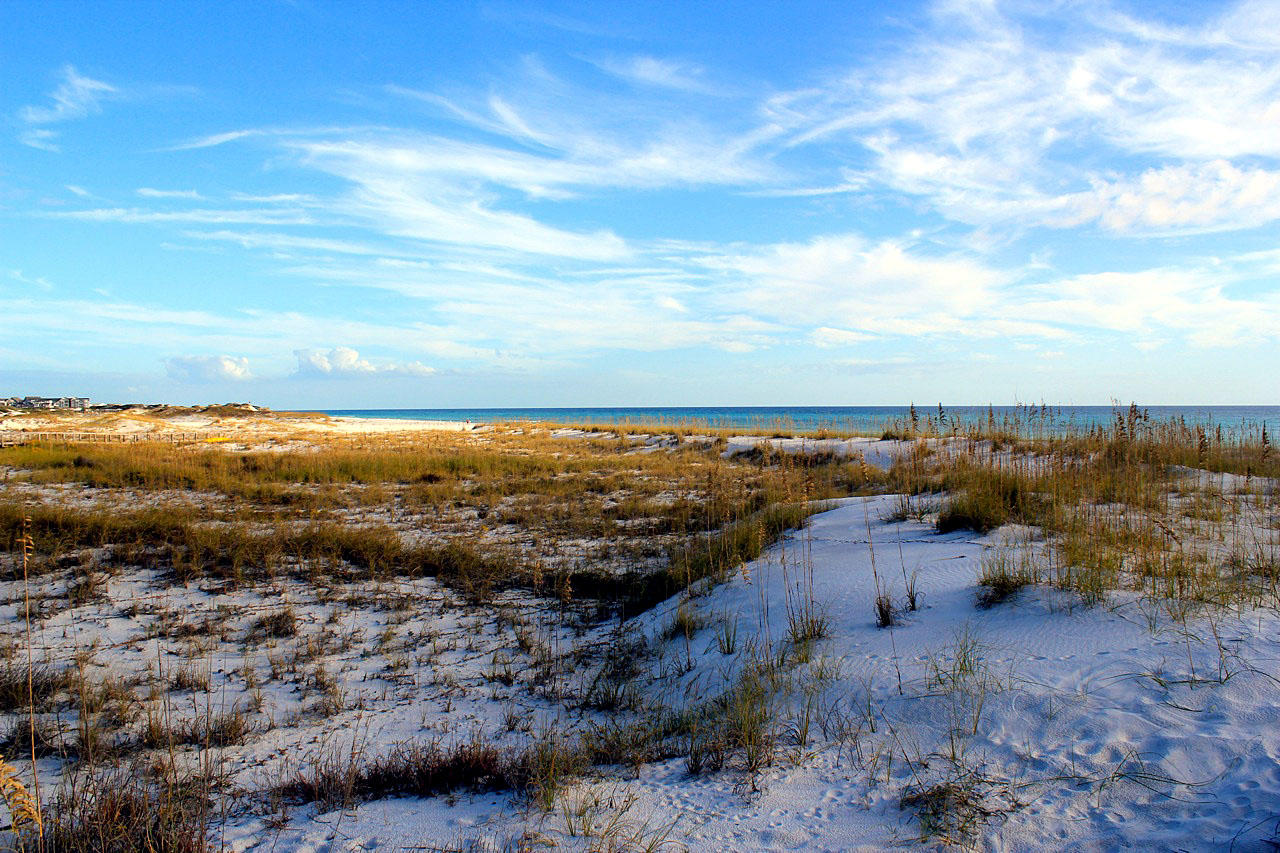 SECLUSION DUNES - Residential