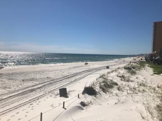 Treasure Island - Residential