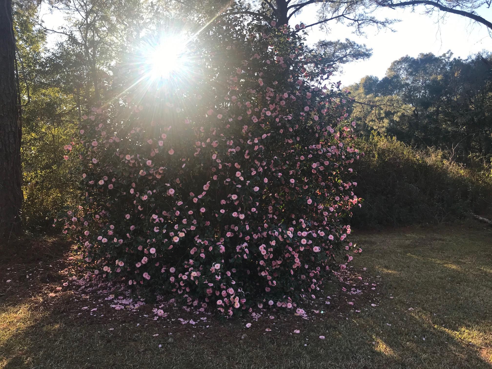 M&B - Hilltop Acres - Residential