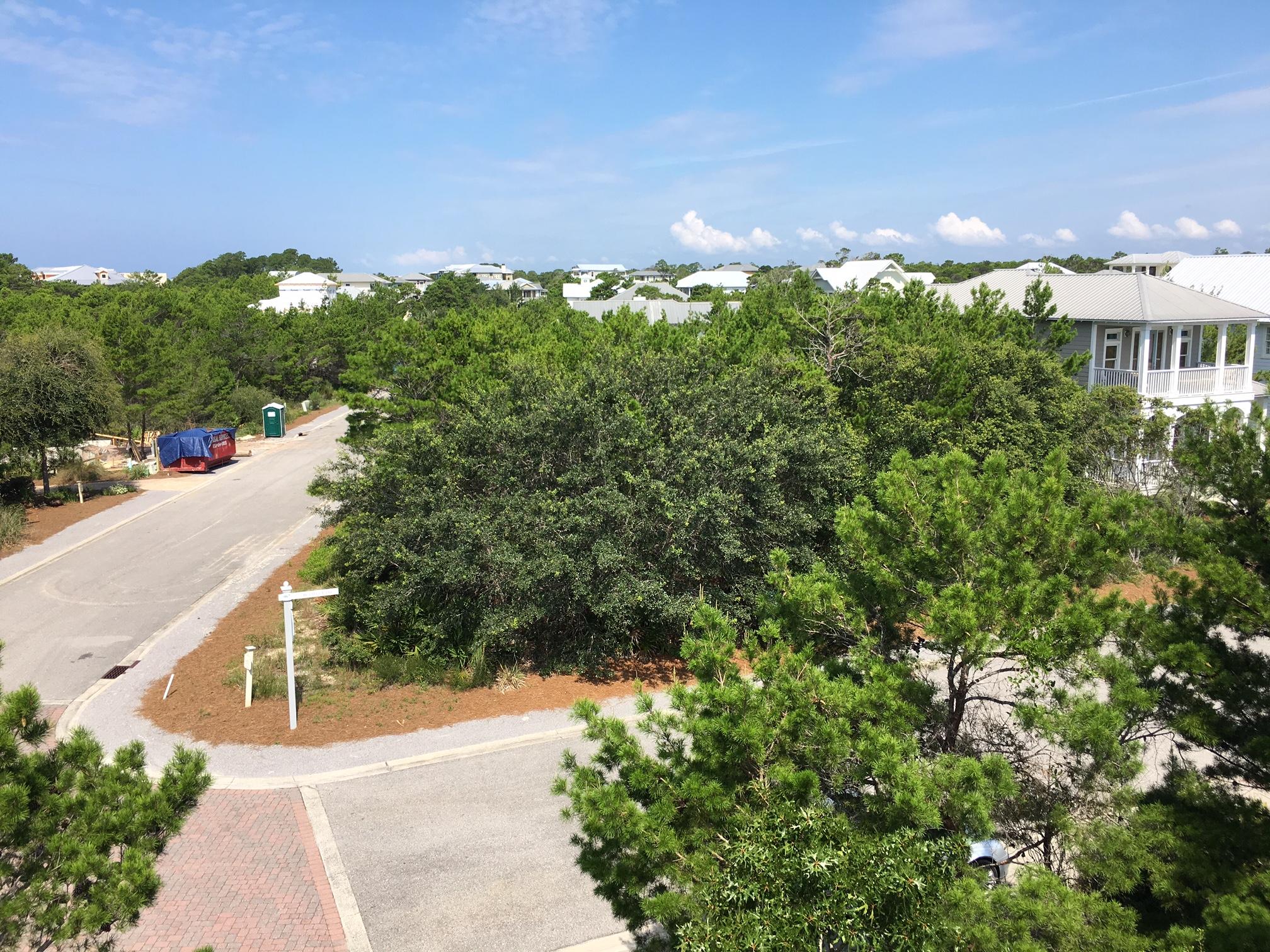 THE PRESERVE AT GRAYTON BEACH - Land