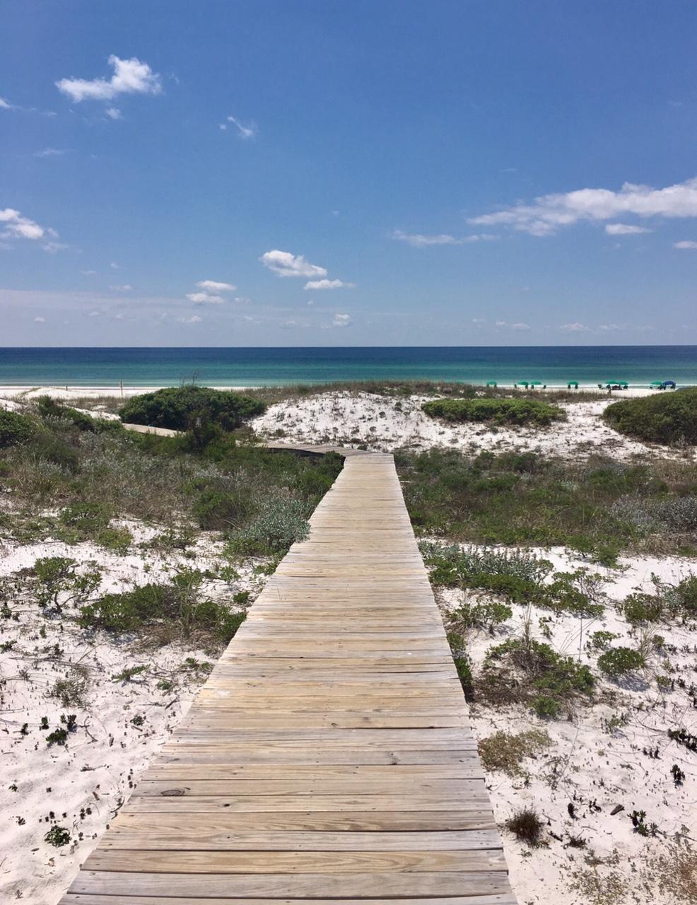 THE PRESERVE AT GRAYTON BEACH - Land