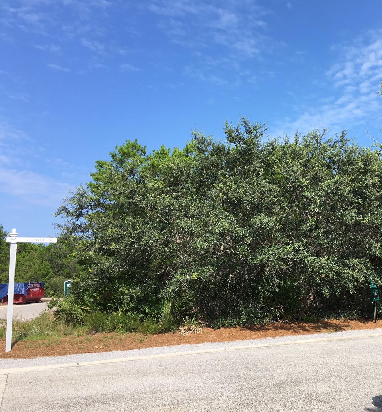 THE PRESERVE AT GRAYTON BEACH - Land
