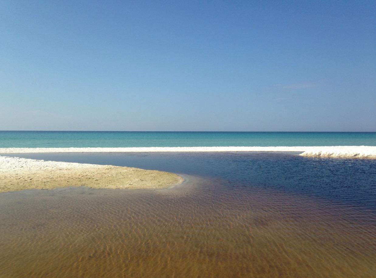 THE PRESERVE AT GRAYTON BEACH - Land