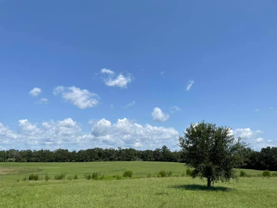 METES & BOUNDS - Farm