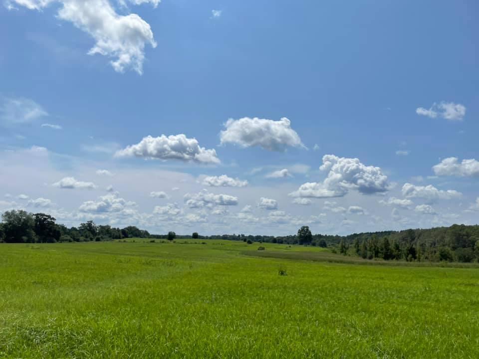 METES & BOUNDS - Farm