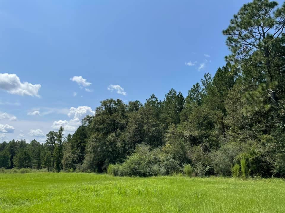 METES & BOUNDS - Farm