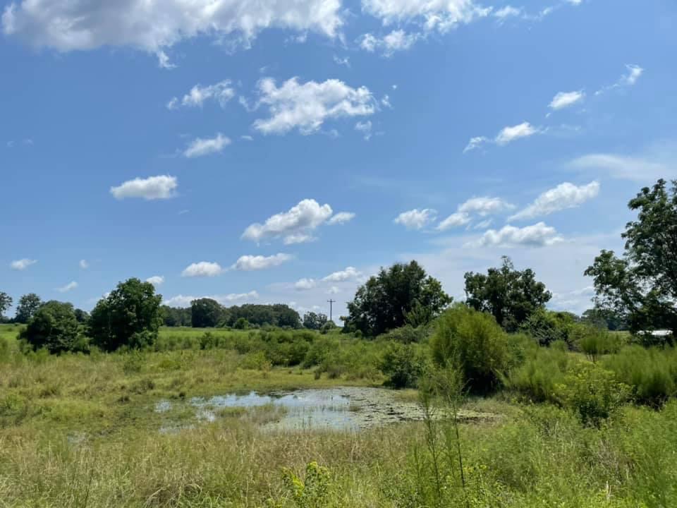 METES & BOUNDS - Farm