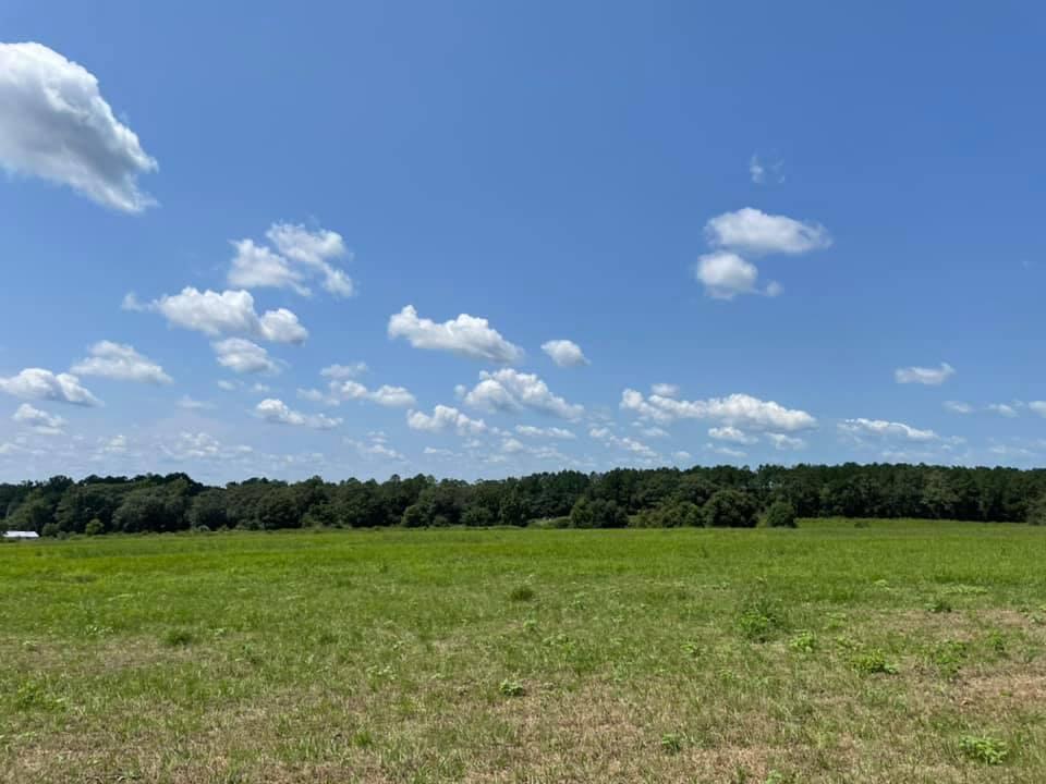 METES & BOUNDS - Farm