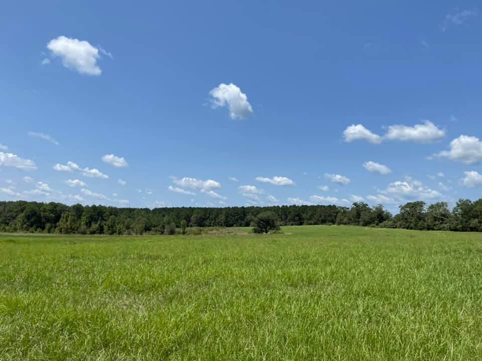 METES & BOUNDS - Farm