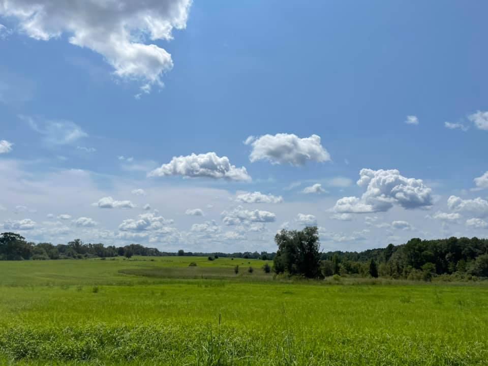 METES & BOUNDS - Farm