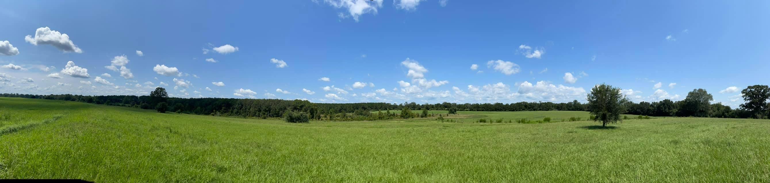 METES & BOUNDS - Farm