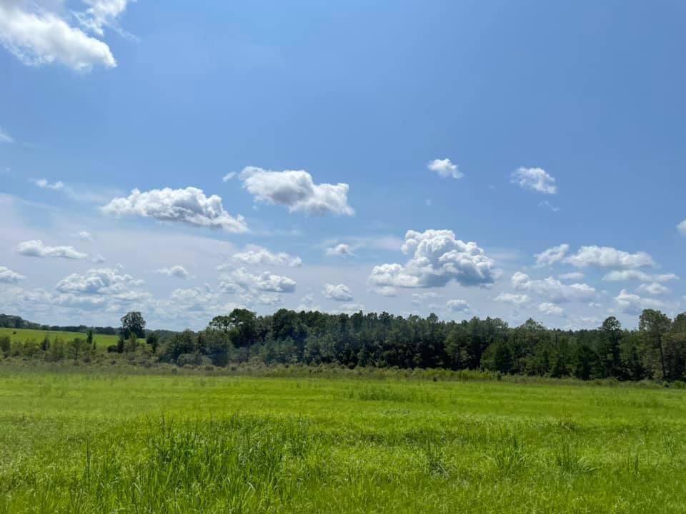 METES & BOUNDS - Farm