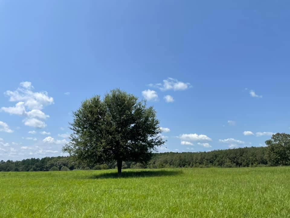 METES & BOUNDS - Farm