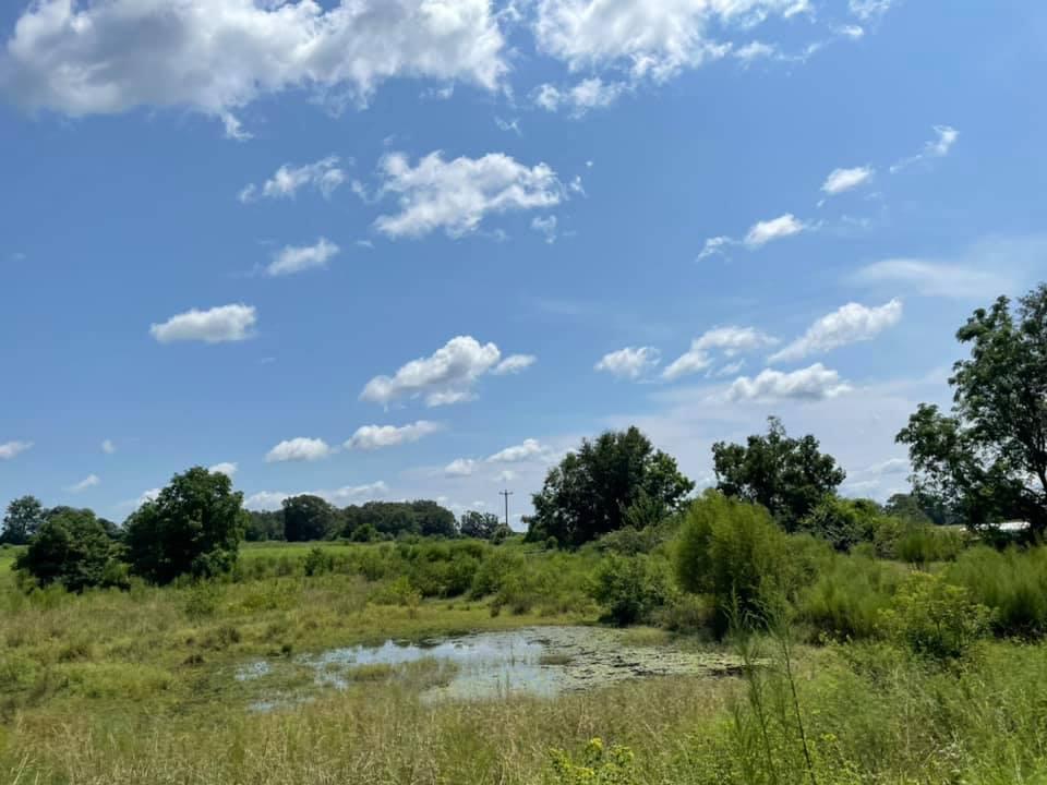 METES & BOUNDS - Farm