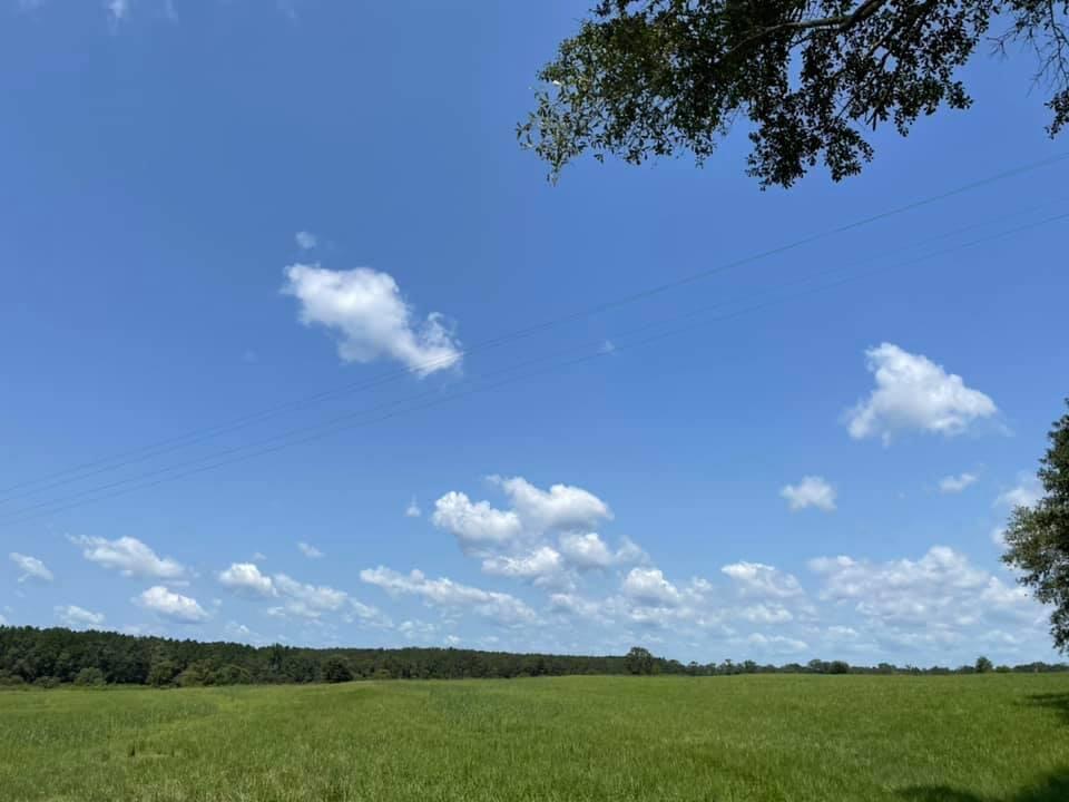 METES & BOUNDS - Farm