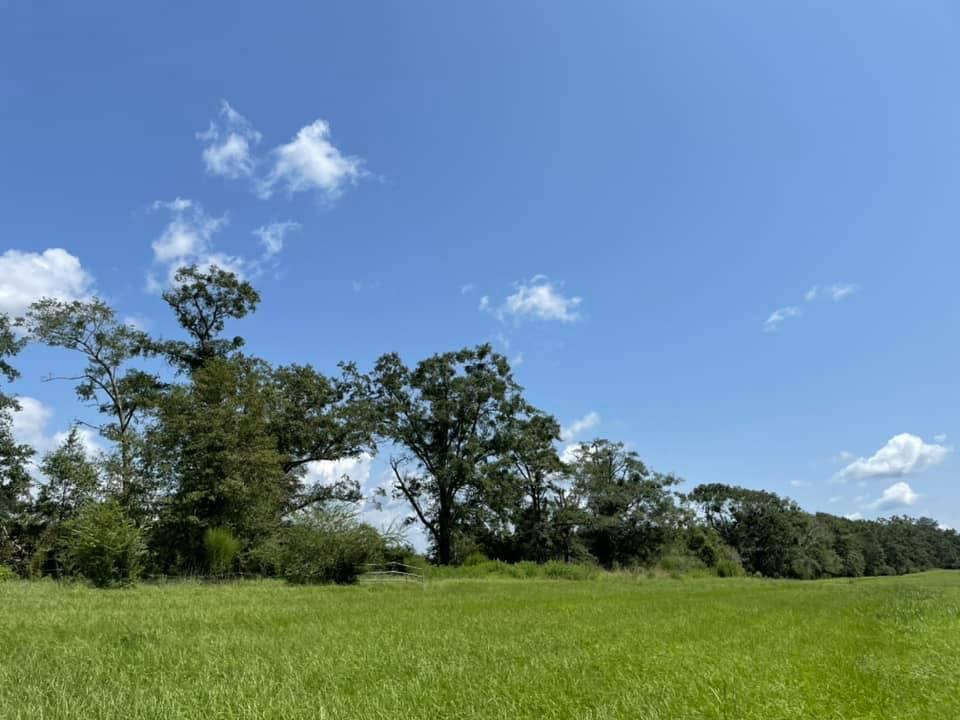 METES & BOUNDS - Farm